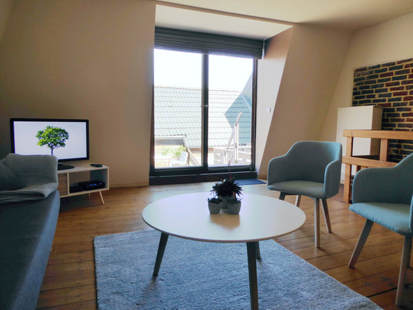 Our charming duplex is a spacious (100 m²) two-bedroom apartment with a cosy roo Ghent, Belgium Charming duplex with roof-top terrace Entire rental unit vacation rental 23474582