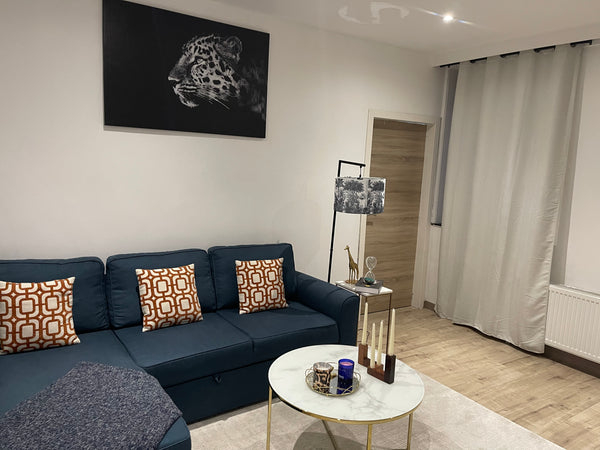 For an unforgettable star in Belgium, A nice  apartment in Brussels located ten   Appartement charmant et très cosy. Entire condo vacation rental 620231658122568714