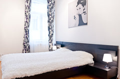 <b>The space</b><br />A spacious, bright, and fully furnished apartment in an ex Prague, Czechia Apartment Audrey Entire rental unit vacation rental 735375