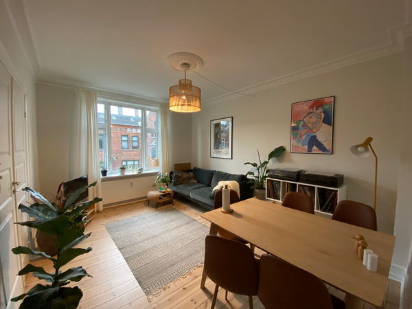 <b>The space</b><br />The apartment is newly renovated and has everything you co Copenhagen, Denmark Light and cozy apartment in hip neighbourhood Entire rental unit vacation rental 50476362