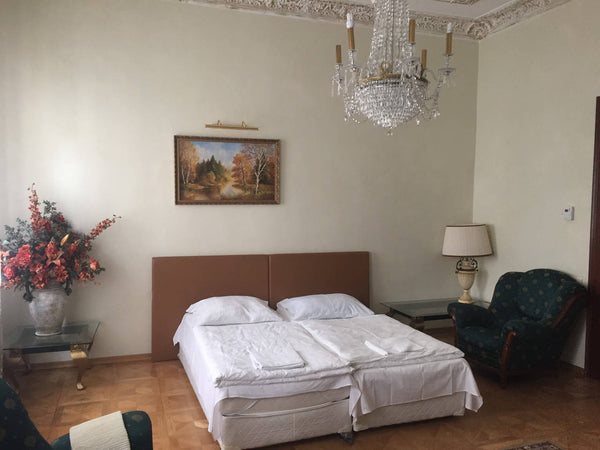 Location is in the heart of historical centre of Prague. It takes a few minutes  Jesenice, Czechia 5 min to Wenceslas Square, Flat for 8 ppl Entire rental unit vacation rental 24090750