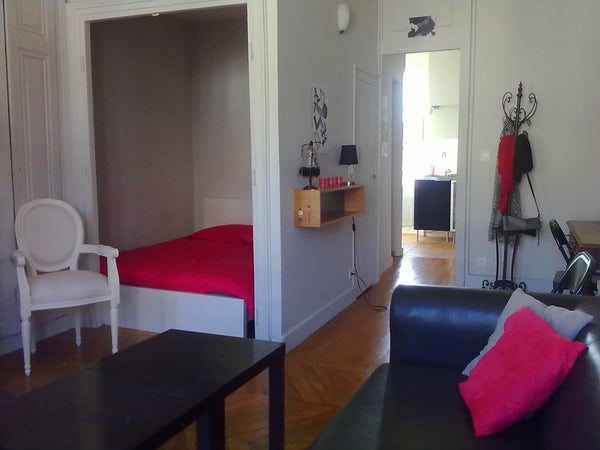 Venez profiter de la fête des lumières!<br /><br />Ce bel appartement pour 1 à 2 Lyon, France Le charme au coeur de Lyon Entire rental unit vacation rental 9475100