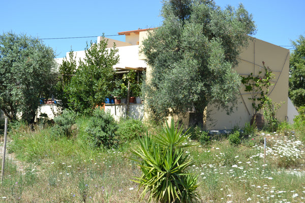Studio with full kitchen, desk with wifi, bathroom with shower, toilet, washbasi Munich, Germany Studio for 2/Zentral gel./zw. Plakias und Rethymno Entire rental unit vacation rental 3070506