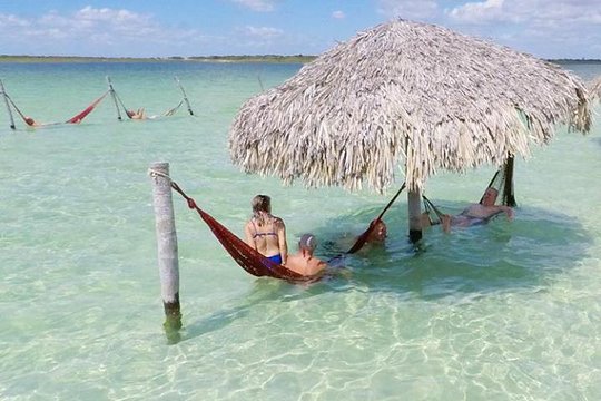 Buggy ride to Laguna Paraíso + Buraco Azul + Prea + Tree of Sloth. 6 am  Private Tours and Travel Guide America Sao Paulo CITY Jericoacoara Destination Tour