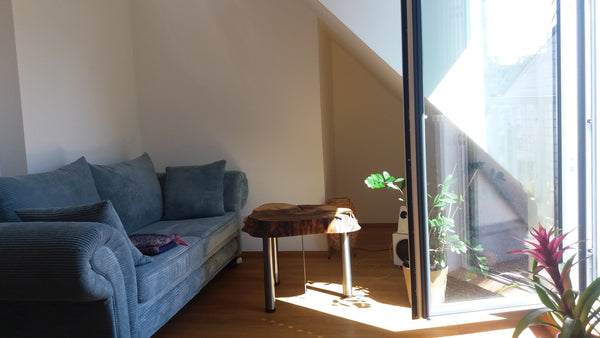 Die 70 m2 große Dachgeschoss- Wohnung hat eine wunderschöne Dachterrasse (40 m2)  wunderschöne Dachterrassenwohnung Entire rental unit vacation rental 19955132