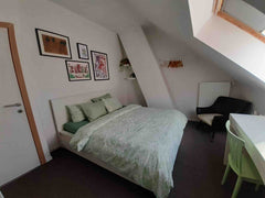 This centrally located accommodation is tastefully decorated. The 2nd floor is c Ghent, Belgium Recently renovated mini-mansion in Ghent. Private room in townhouse vacation rental 50334330