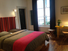 C'est avec plaisir que nous vous accueillerons dans notre appartement situé dans Paris, France Chambre d'hôtes/Bed & Breakfast au Centre de Paris Private room in rental unit vacation rental 21761722
