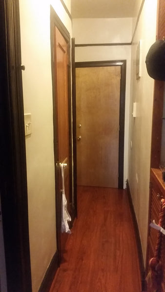 Quiet hide away in Brooklyn, central to Prospect Park and Subways 2&5 or B&Q for New York, NY Rental unit in Brooklyn · 1 bedroom · 1 bed · 1 bath Private room in rental unit vacation rental 6982967
