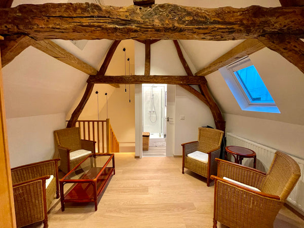 Élégant et spacieux duplex de charme à 50m de la mythique et incontournable Gran United Kingdom Duplex - Loft de charme à 50m de la grand place Entire loft vacation rental 630400198041932833