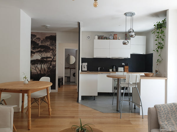 Ce charmant T2 spacieux est situé à deux pas des quais de Rhône. Vous y trouvere Lille, France T2 Lyon centre/cosy jungle Entire condo vacation rental 51864111