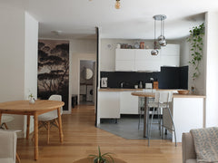 Ce charmant T2 spacieux est situé à deux pas des quais de Rhône. Vous y trouvere Lille, France T2 Lyon centre/cosy jungle Entire condo vacation rental 51864111