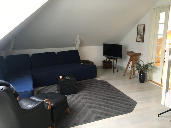 Welcome to our home. It is a lovely light 3-room apartment at Frederiksberg in a Copenhagen, Denmark Rooftop apartment in beautiful location Entire rental unit vacation rental 24095200