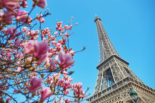 Perfect spot to visit Paris safely. Apartment sleeps  up to 2 adults and 2 kids. Paris, France Vast family appt of 140 sqm by Etoile/Eiffel Tower Entire rental unit vacation rental 3474817
