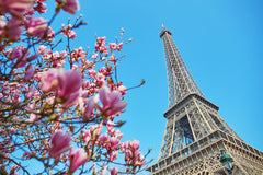 Perfect spot to visit Paris safely. Apartment sleeps  up to 2 adults and 2 kids. Paris, France Vast family appt of 140 sqm by Etoile/Eiffel Tower Entire rental unit vacation rental 3474817