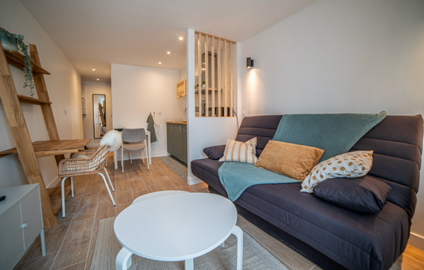 Studio cosy et moderne de 23m² à l'ambiance scandinave situé à deux pas de la pl Lyon, France Le Raffiné - Sublime studio cosy et moderne Entire rental unit vacation rental 701114233515551011