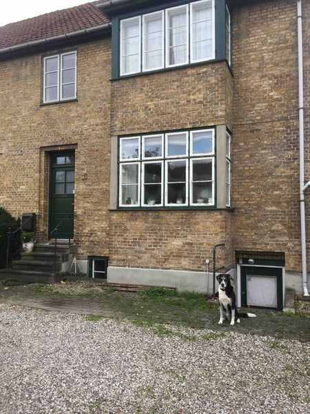 Dejligt værelse i rækkehus på Frederiksberg. 600 meter fra Metro og S-tog.   Gra Denmark Dejligt værelse med altan, gratis parkering. Private room in home vacation rental 32788817