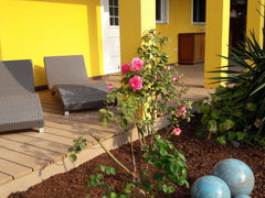 Neu renovierter Bungalow für bis zu 5 Gäste (1 Doppelbett, 1 Einzelbett, 1 Doppe Vienna, Austria Bungalow at Lake 'Alte Donau' Vienna Entire bungalow vacation rental 28727843