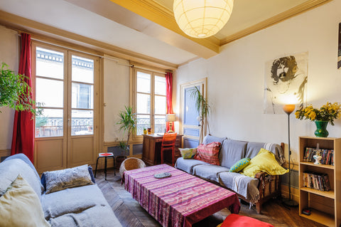 A deluxe room for you! Loads of light and a balcony. The room is very comfy with Lyon, France Charming old flat in very center Private room in rental unit vacation rental 10719759