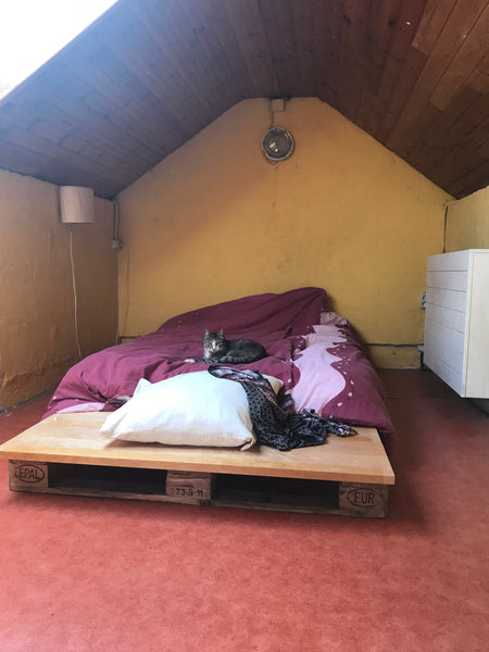 Chambre sous les toits proche du centre de Bruxelles (15-20 minutes à pied) disp Ottignies-Louvain-la-Neuve, Belgium Chambre sous les toits proche du centre Private room in casa particular vacation rental 670688650984174230