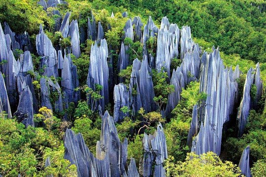 Kunming Private Day Tour to Stone Forest and Chengzi Ancient Town  Private Tours and Travel Guide Asia Shanghai CITY Kunming Destination Tour