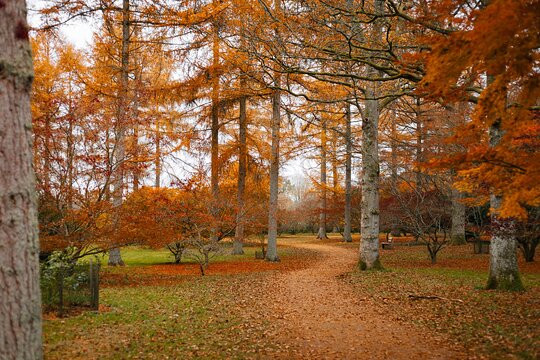 Antiques  Cotswolds & Autumnal Leaves  Private Tours and Travel Guide Europe London CITY Bath Destination Tour