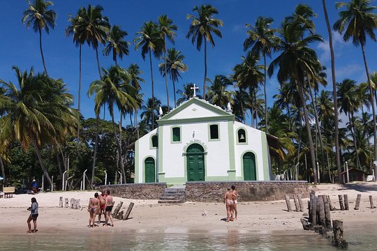 Aries Beach Tour from Maragogi by Top Tours  Private Tours and Travel Guide America Maceio CITY Maragogi Destination Tour