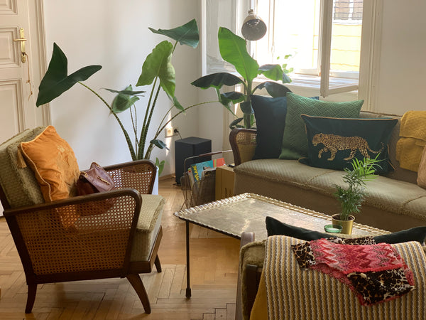 Wunderschöne 80qm große Jahrhundert Wiener Altbauwohnung mit hohen <br />Räumen   Charmante Altbauwohnung In Zentraler Lage Entire rental unit vacation rental 49033792