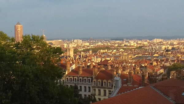 appartement canut avec poutres apparentes orienté au Sud, calme car donnant sur   Vue imprenable, au calme et au coeur de la ville ! Entire rental unit vacation rental 39865848