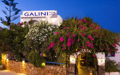 Galini Pension would like to invite you to your first introduction to a wonderfu  Galini  for a  relaxing vacation. Private room vacation rental 4103016