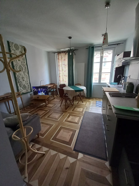 NOUVEAU Très joli appart de 31 m2 entièrement rénové , alliant charme et moderni  T1 bis   de prestige au coeur de Lyon Entire rental unit vacation rental 53308445