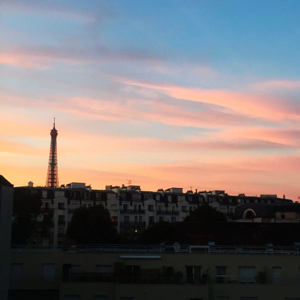 Mon studio est proche de la rue du Commerce, du grand centre commercial Beaugren Paris, France Petit studio parisien avec vue sur la Tour Eiffel Entire rental unit vacation rental 13461441