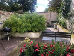 Very nice & light groundfloor appartment with amazing garden/terrace in one of t Antwerp, Belgium Quiet haven in the city Center with amazing garden Entire rental unit vacation rental 32927683