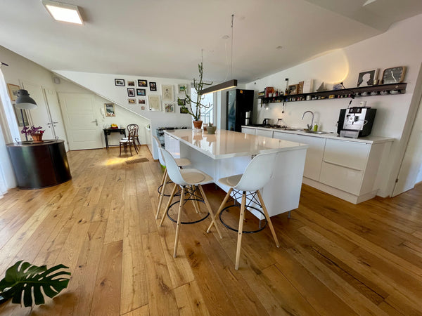 Großzügige, helle und luftige Wohnung in absolut ruhiger Innenhof Lage. An der G Vienna, Austria Helles Loft 110 qm mit toller Dachterrasse 100 qm Entire loft vacation rental 26809931