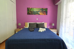 Whatever you need for your Athens stay, you will find it in this cozy and easily Athens, Greece Athens: Center / Walking Distance / Big Balcony Entire rental unit vacation rental 50093206