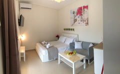 <b>License number</b><br />1024318 Heraklion, Greece Athens Acropolis House Entire rental unit vacation rental 44238933