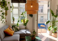 Cozy little apartment in Copenhagen's most wonderful neighbourhoods - Nørrebro.  Copenhagen, Denmark Cozy apartment in central Nørrebro Entire rental unit vacation rental 26776877