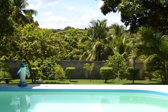 One day in paradies  relax and swim in our troical garden (lunch included)  Private Tours and Travel Guide America Bahia CITY Salvador da Bahia Destination Tour