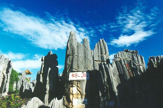 Private Day Tour: Kunming Highlight of Stone Forest  Private Tours and Travel Guide Asia Shanghai CITY Kunming Destination Tour