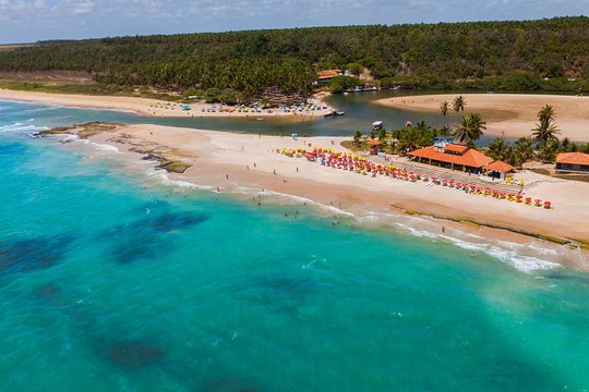 Duas Barras Beach and Marape Dunes Trip from Maceió  Private Tours and Travel Guide America Maceio CITY Maceio Destination Tour