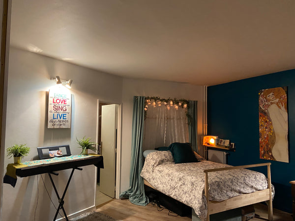 Petit nid d'amour au pied du Parc des Buttes Chaumont(très calme) <br />Luminieu Paris, France Charmant Studio Cosy près du parc Buttes Chaumont Entire rental unit vacation rental 4838282