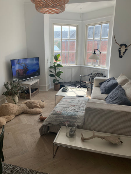 Jeg har en hund - så hvis man er allergisk er mit hjem ikke det optimale! Copenhagen, Denmark Dejlig, hyggelig lejlighed på Østerbro! Entire rental unit vacation rental 40608454