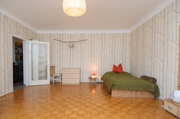 <b>The space</b><br />My cozy apartment is located in the heart of Vienna. The s Vienna, Austria LedererLeo Entire rental unit vacation rental 461361