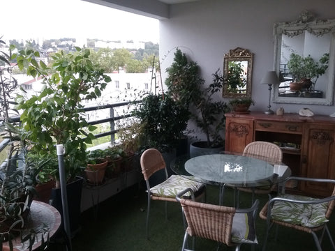 Bien situé  calme à  proximité  du centre  <br />A 5mn a pied du tram, métro, ga Lyon, France Lyon 2ème app 3p+ terrasse Private room in rental unit vacation rental 28324125