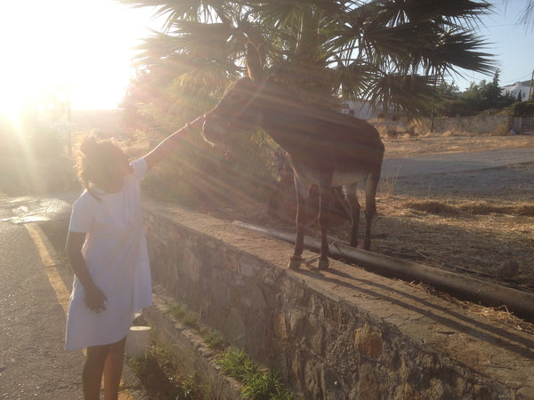 The house is located in the 