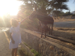 The house is located in the "Filerimos" area of Ialysos. It is close to "Diagora Ialysos, Greece Il Giardino di Celeste Private room in home vacation rental 25090849