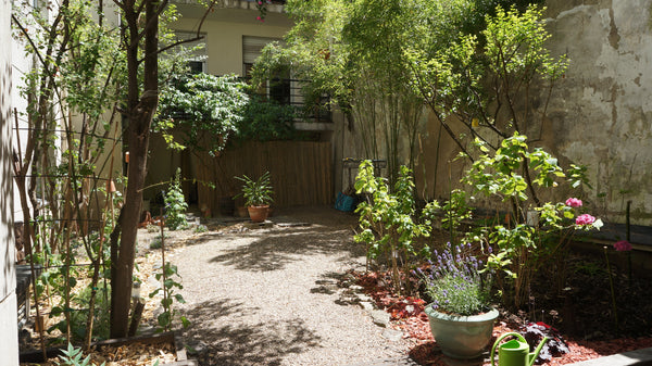 A 8mn du métro Jules Joffrin (ligne 12) ou Guy Moquet (ligne 13). Beaucoup de bu Paris, France Appartement Un jardin à Montmartre #cosy #nature Entire rental unit vacation rental 23627031