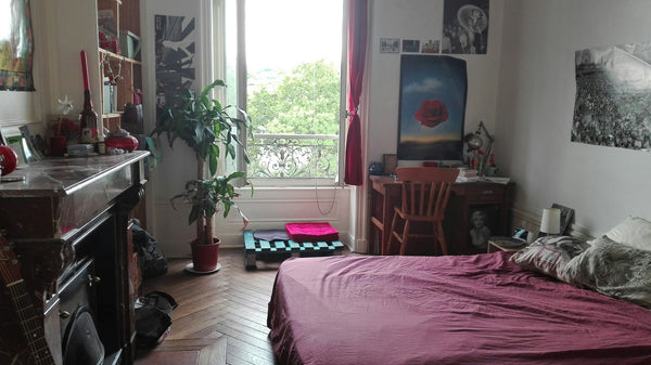 Souvent absents ce mois d'août, nous vous proposons une chambre dans notre appar Montpellier, France Chambre avec vue sur les quais dans le 7eme arr. Private room in rental unit vacation rental 27457040