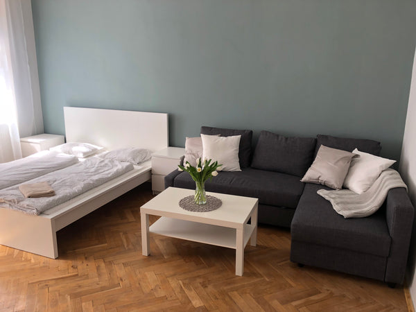 Nově zrekonstruovaný byt v činžovním domě v klidnější části Vinohrad. Apartmán p Prague, Czechia New family and group apartment Entire rental unit vacation rental 23654478