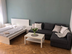Nově zrekonstruovaný byt v činžovním domě v klidnější části Vinohrad. Apartmán p Prague, Czechia New family and group apartment Entire rental unit vacation rental 23654478