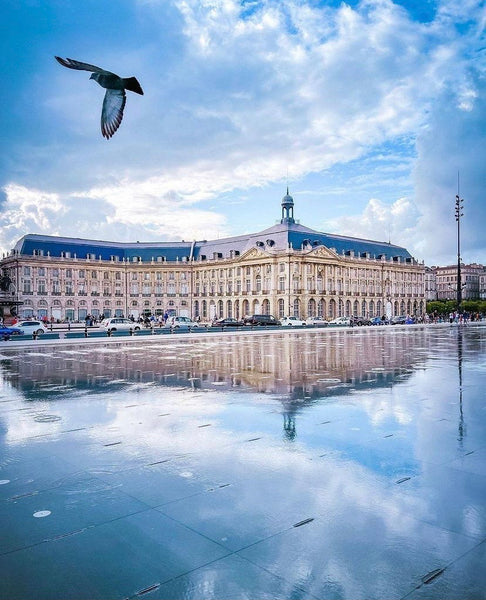 Profitez d'un logement entre la place de la bourse et la place du parlement. Un   Bordeaux : au pied de la place de la bourse Entire rental unit vacation rental 53464786